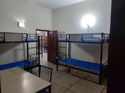 Strong and Beautiful Bunk Beds