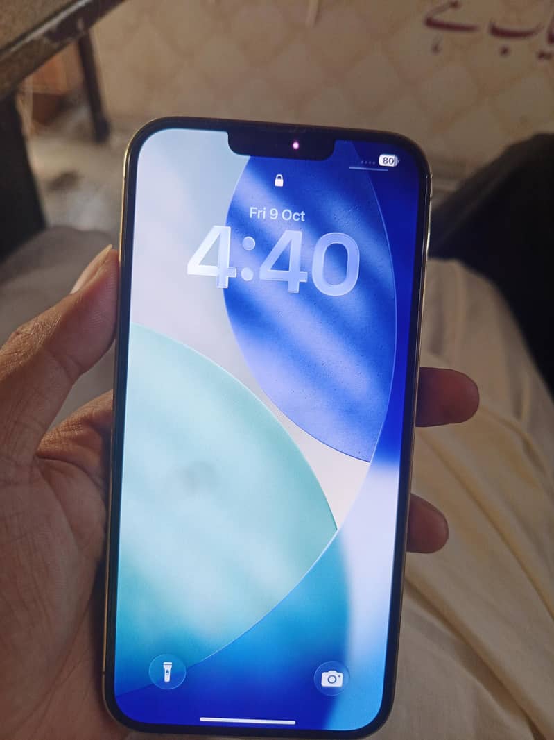 Apple iPhone 13 Pro Max 2