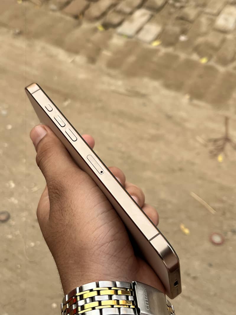 Apple iPhone 16 Pro Max 1