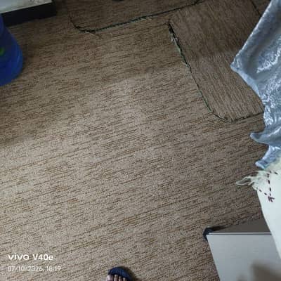 carpets