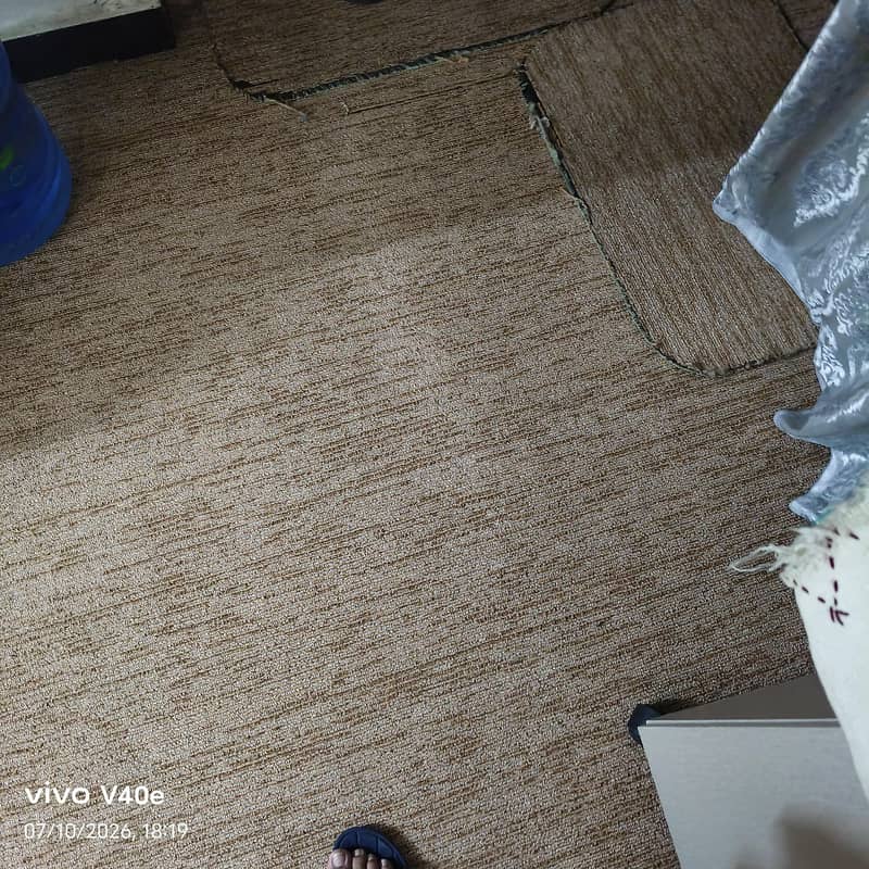 carpets 0