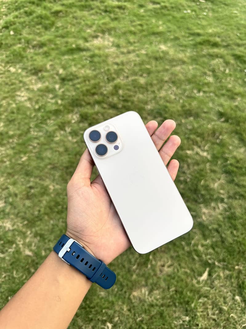 Apple iPhone 16 Pro Max 1