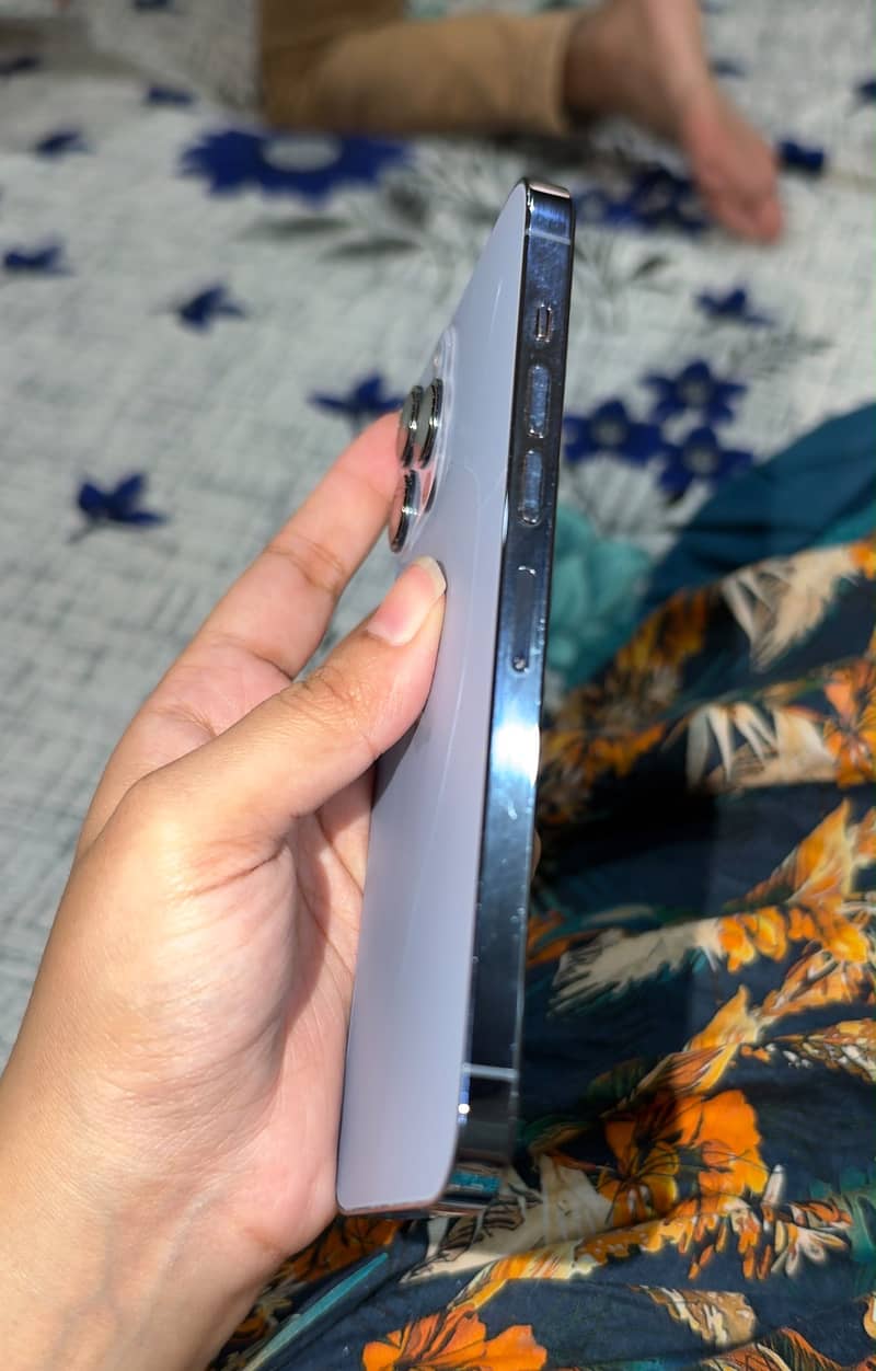 Apple iPhone 13 Pro max 3