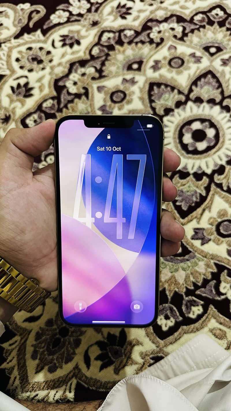 Apple iPhone 12 Pro Max 11