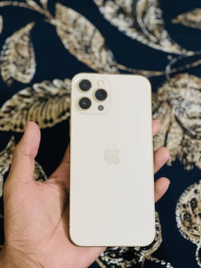 Apple iPhone 12 Pro Max