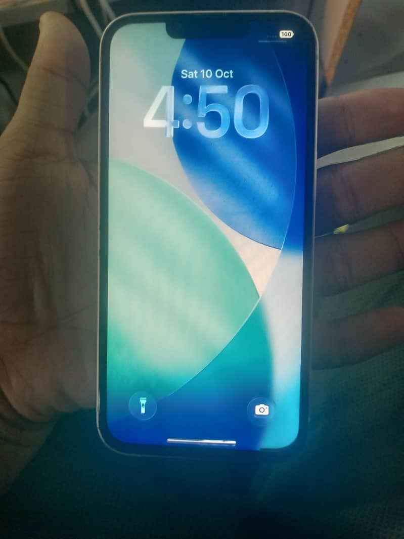 Apple iPhone 13 1