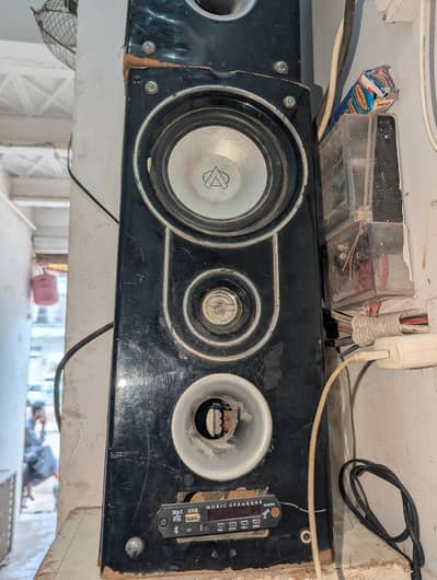 Audionic speaker