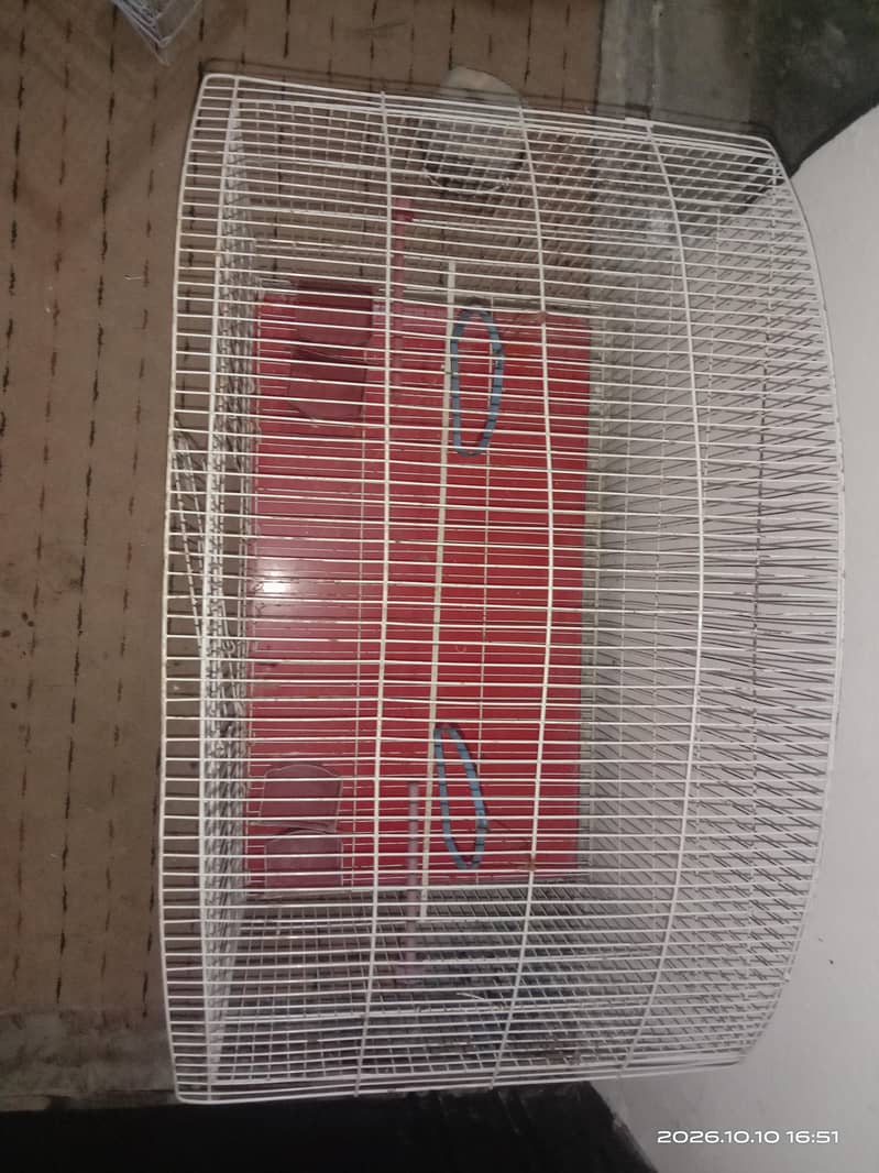 cages 1