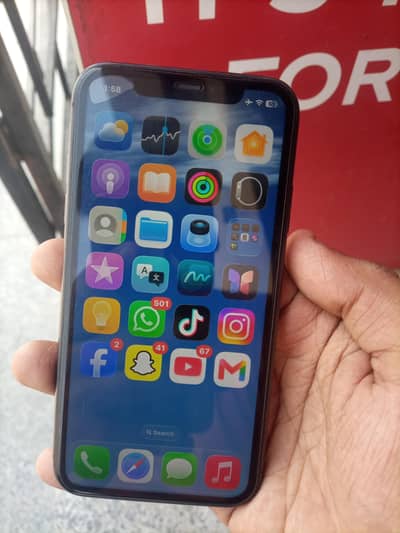 Apple iPhone 11 Water pack