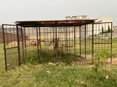 Heavy Iron Pinjra for Sale | Animal Cage with Fibre Roof