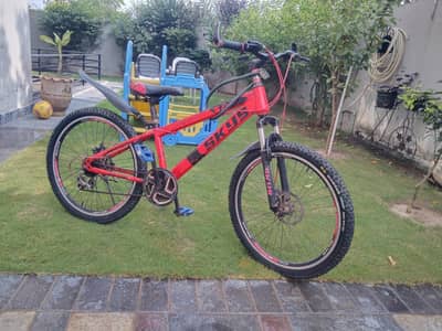 24 inch cycle