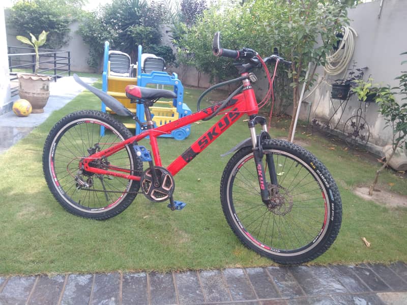 24 inch cycle 1