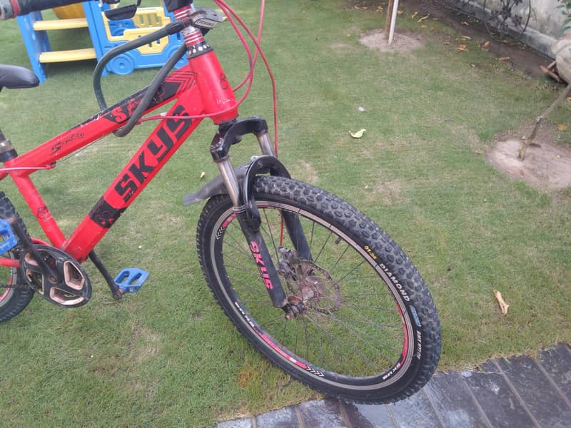 24 inch cycle 2