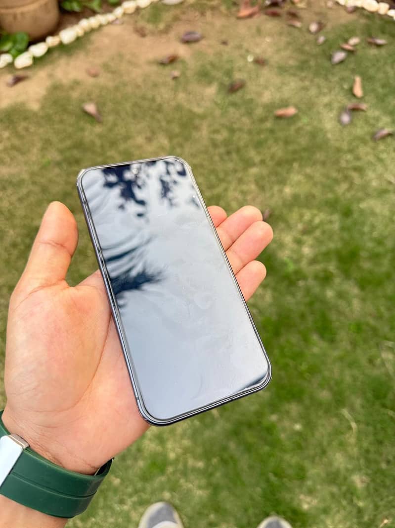 Google Pixel 9 1