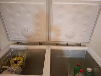 double door d-freezer