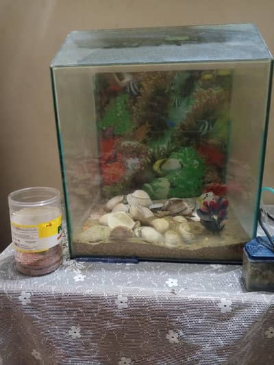 Premium Glass Aquarium Fish Tank for Sale