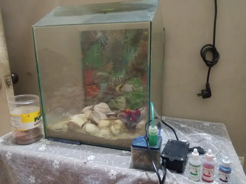 Premium Glass Aquarium Fish Tank for Sale — photo 2