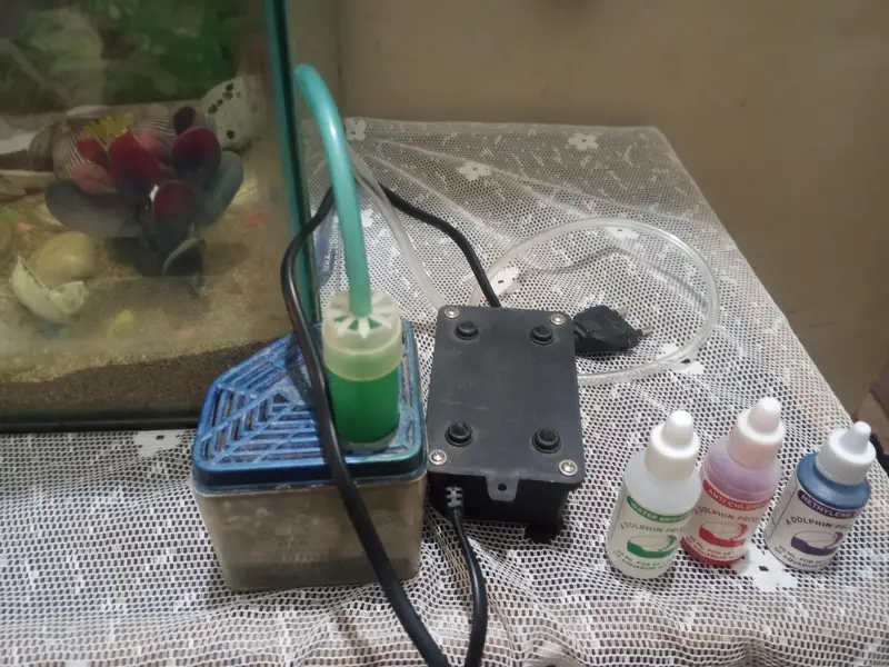 Premium Glass Aquarium Fish Tank for Sale — photo 4