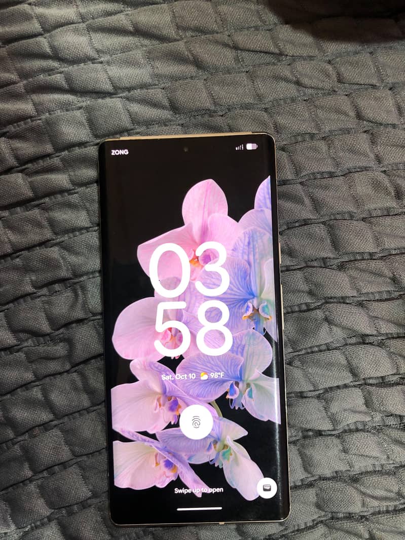 Google Pixel 6 Pro 2