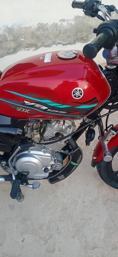22/23 model Yamaha ybz dx fresh condition