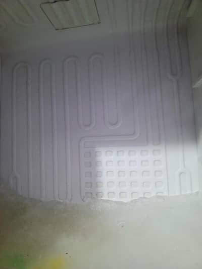 PEL 2 door home used Refrigerator