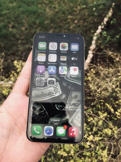 Apple iPhone X