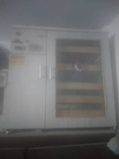 Automatic incubator