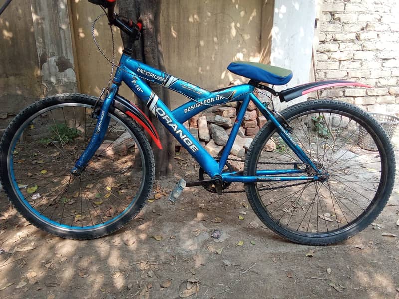Bicycle 1