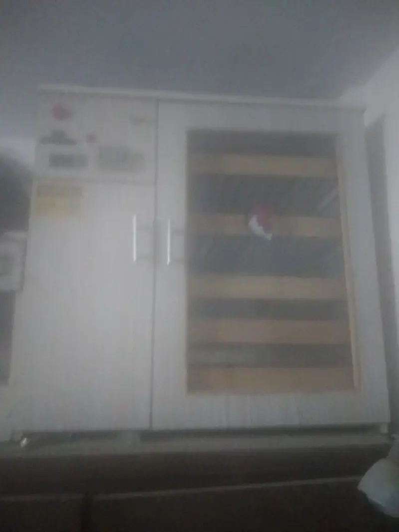 Automatic incubator — photo 2