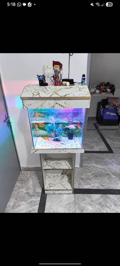 Aquarium  with pump