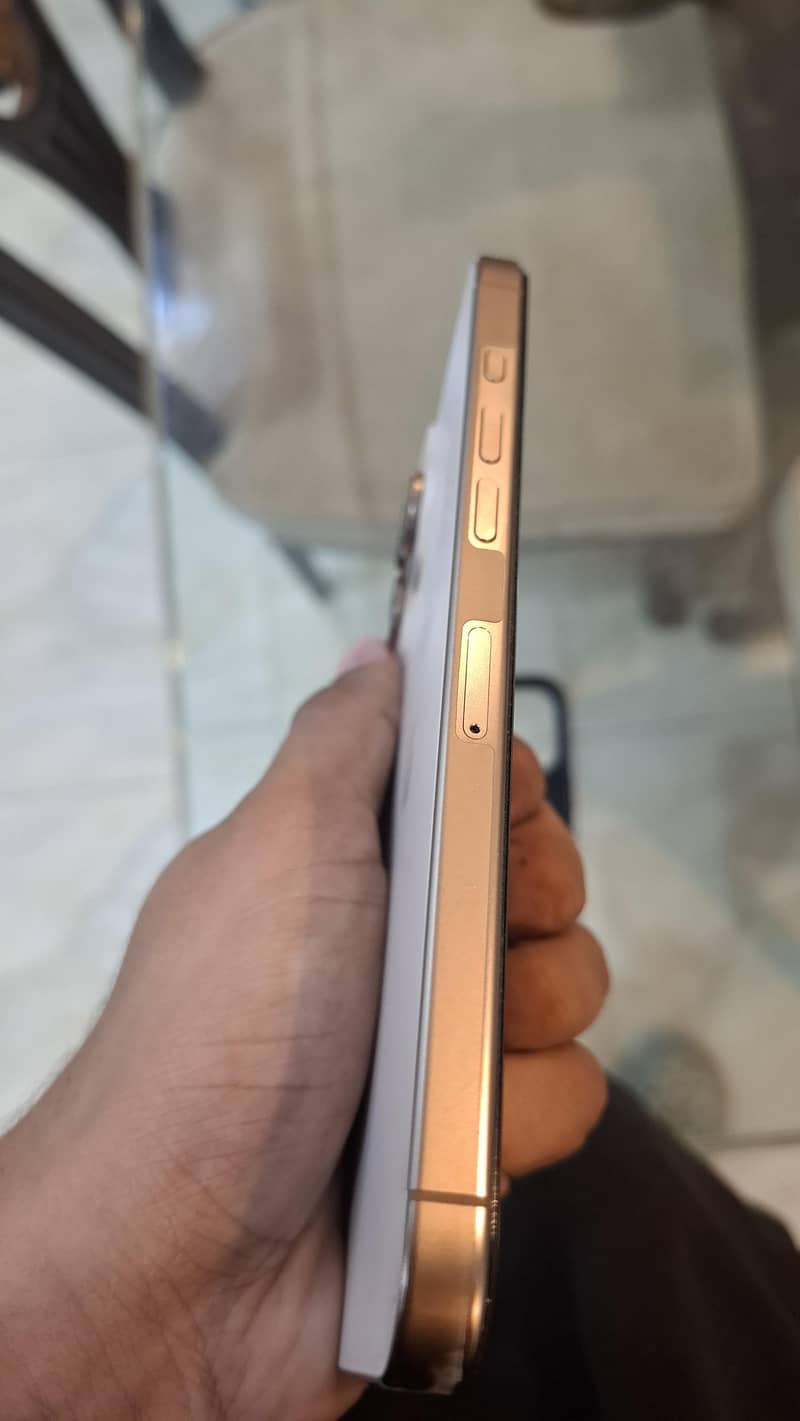 Apple iPhone 16 Pro Max 6