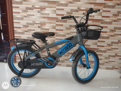 Imported Cycle
