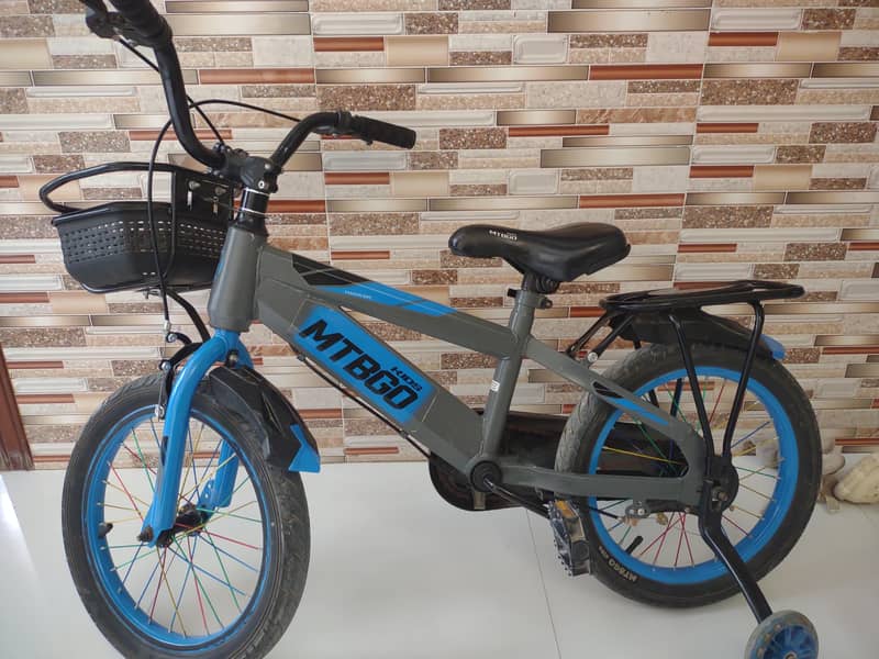 Imported Cycle 2