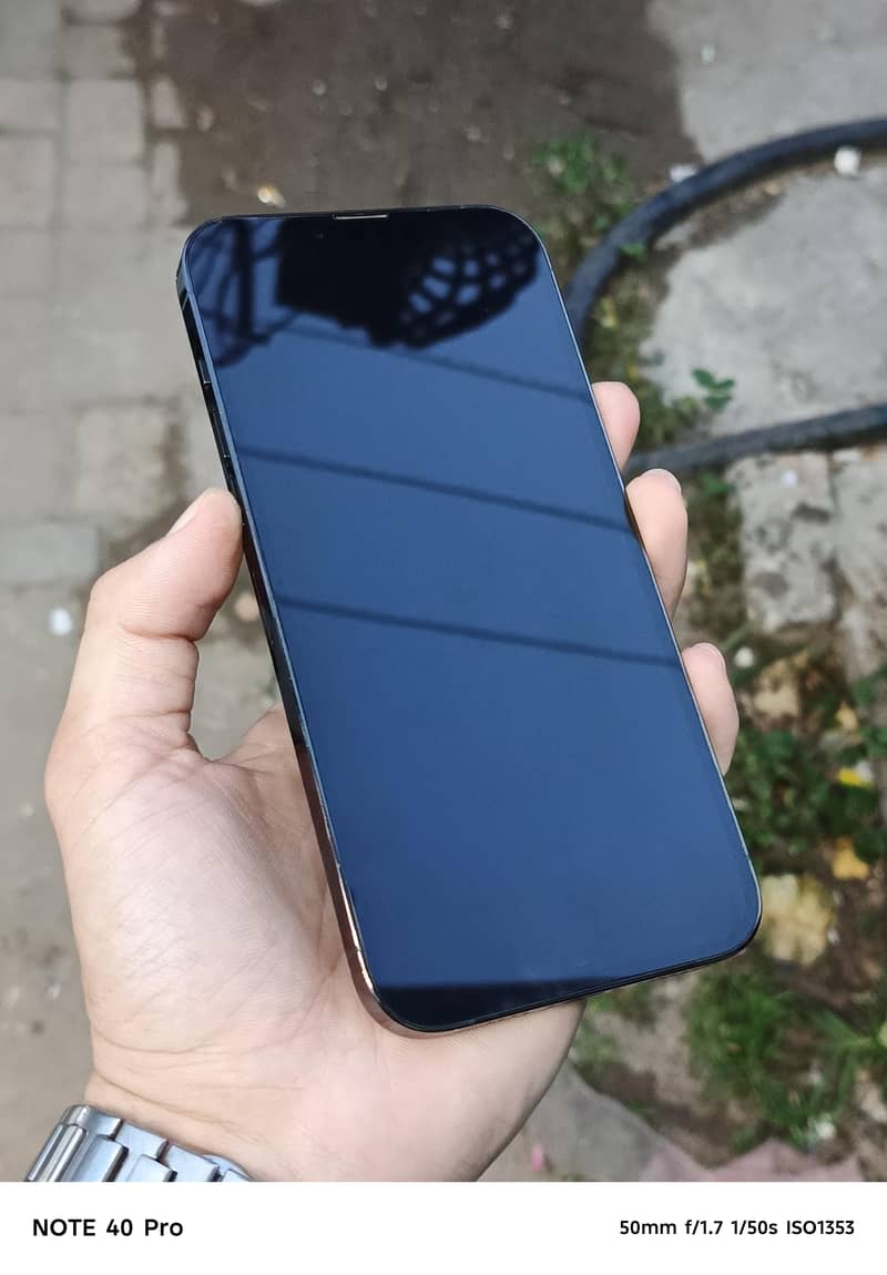 Apple iPhone 13 Pro Max 1