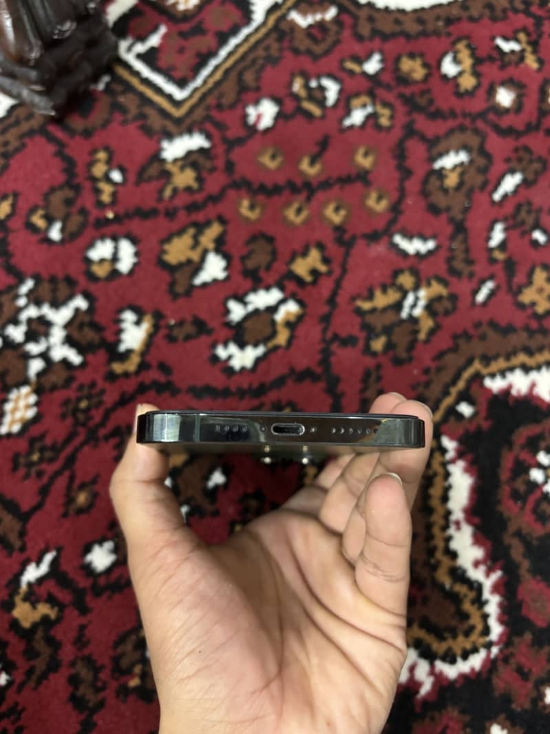 Apple iPhone 13 Pro Max 2