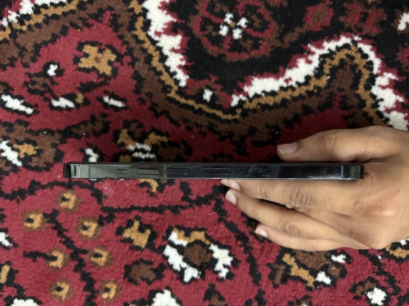 Apple iPhone 13 Pro Max 9