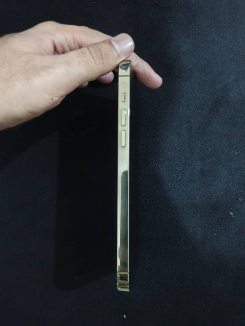 Apple iPhone 14 Pro Max 1