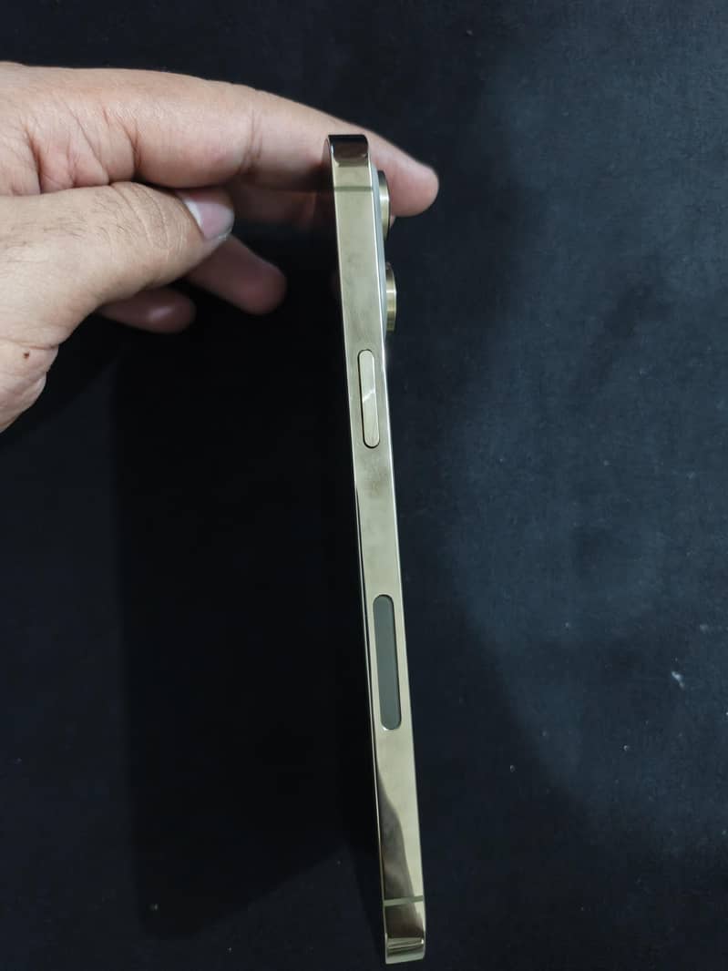 Apple iPhone 14 Pro Max 2