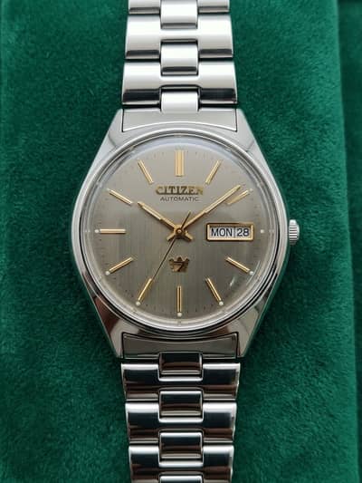 Automatic Citizen Watch