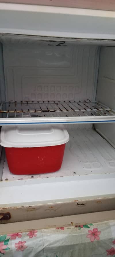frezer for sale