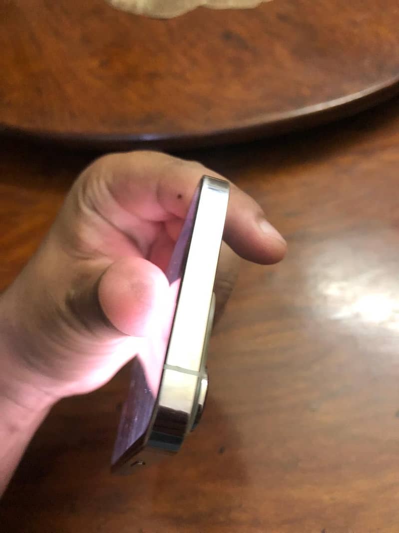 Apple iPhone 13 Pro 3