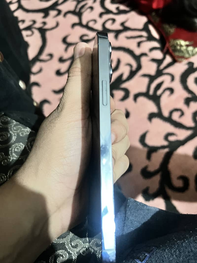 Apple iPhone 13 Pro Max 2