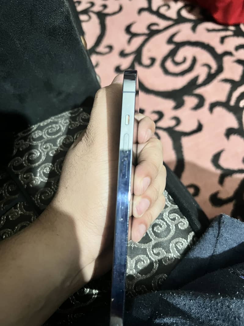 Apple iPhone 13 Pro Max 3