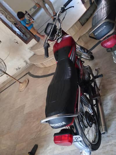 bike for seal