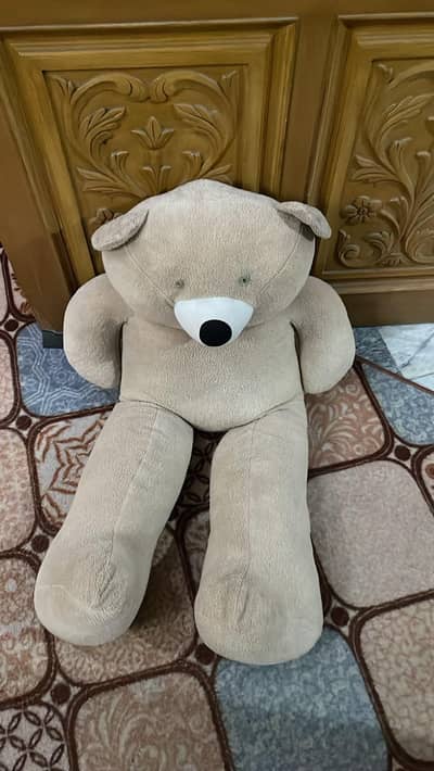 Teddy bear