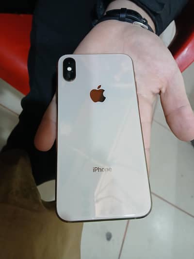 Apple iPhone xs