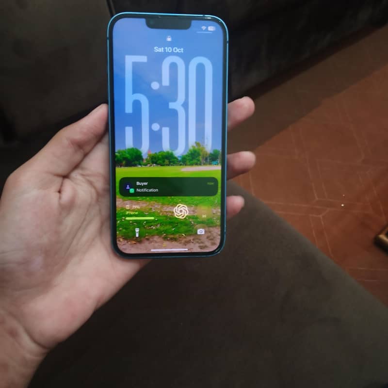 Apple iPhone 13 0