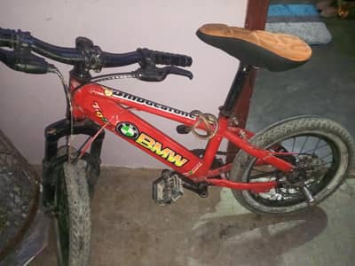 Disbrake cycle