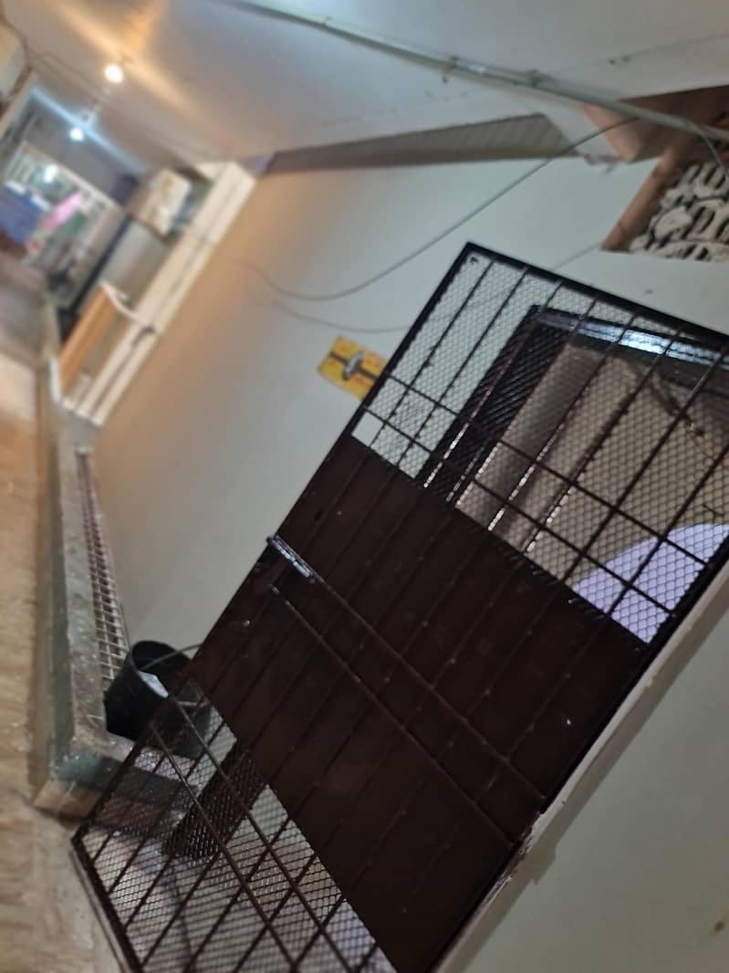 3bed dd 4