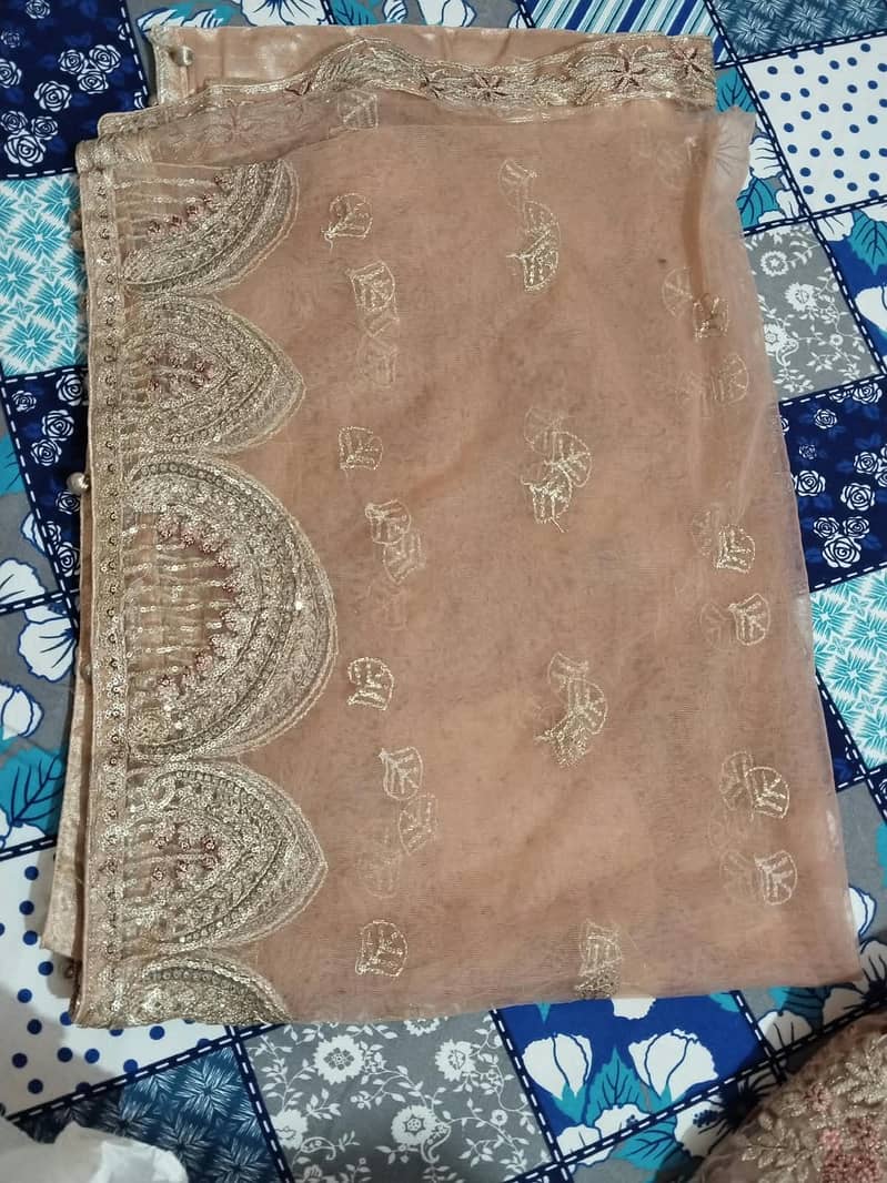 Walima Maxi 1